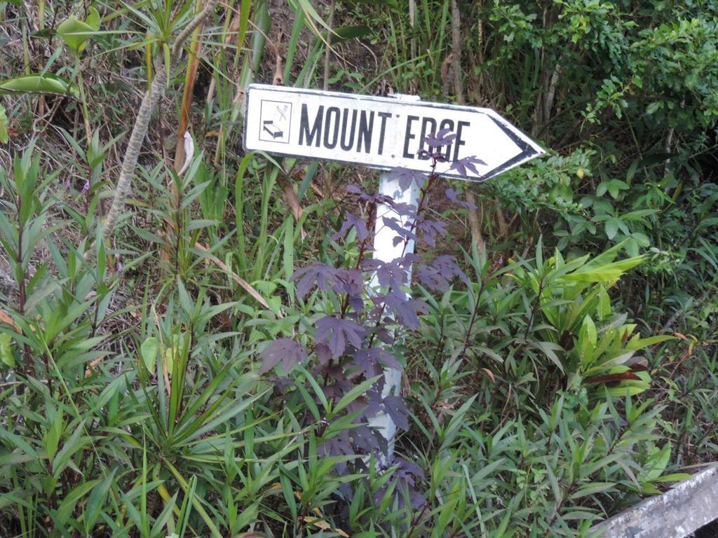 Mount Edge Guest House ポート・アントニオ エクステリア 写真