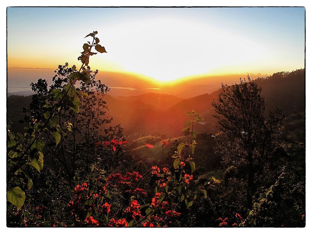 Mount Edge Guest House ポート・アントニオ エクステリア 写真