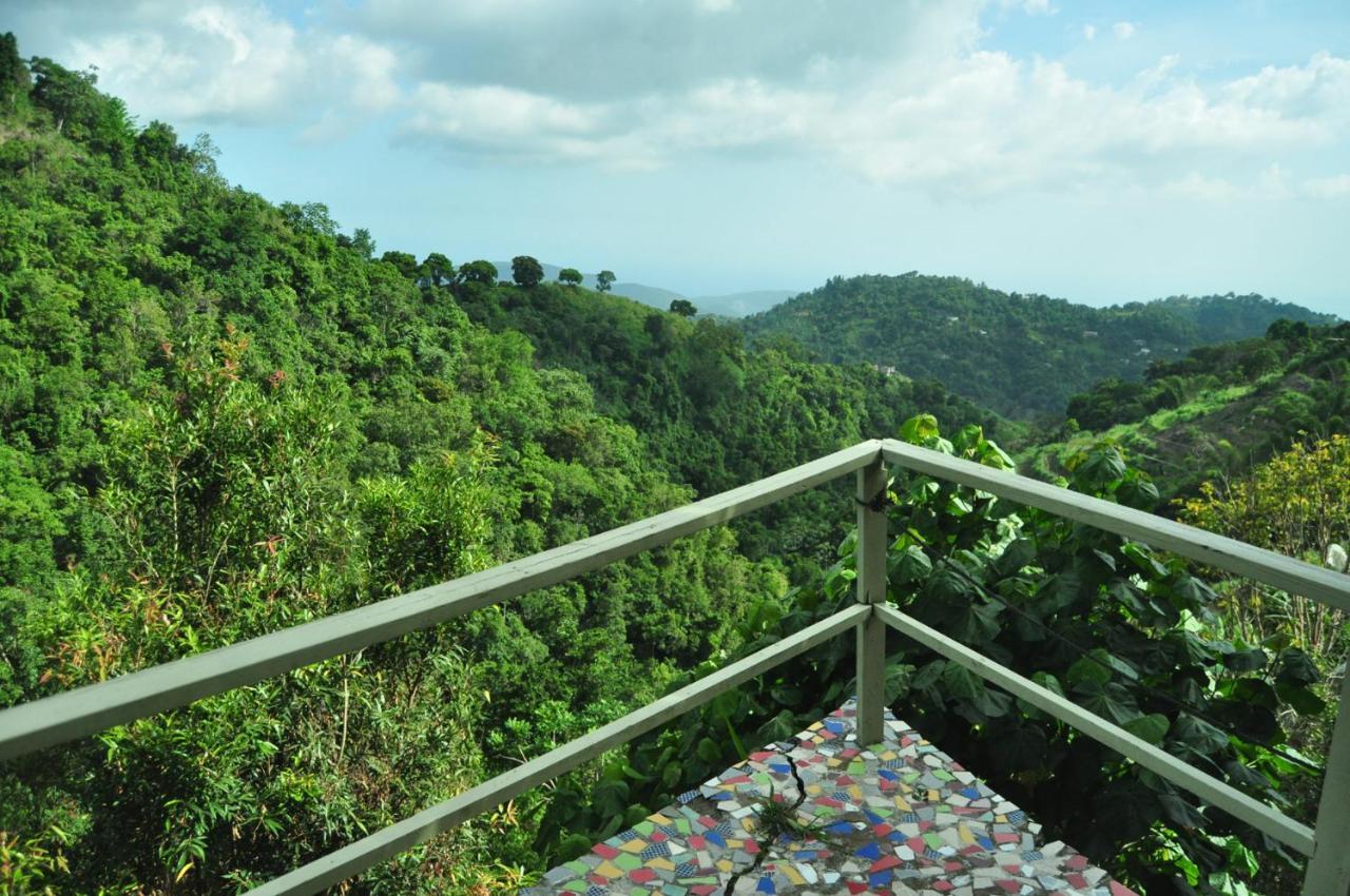 Mount Edge Guest House ポート・アントニオ エクステリア 写真